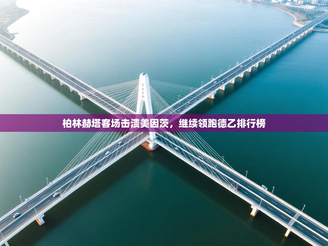 柏林赫塔客场击溃美因茨，继续领跑德乙排行榜  第1张