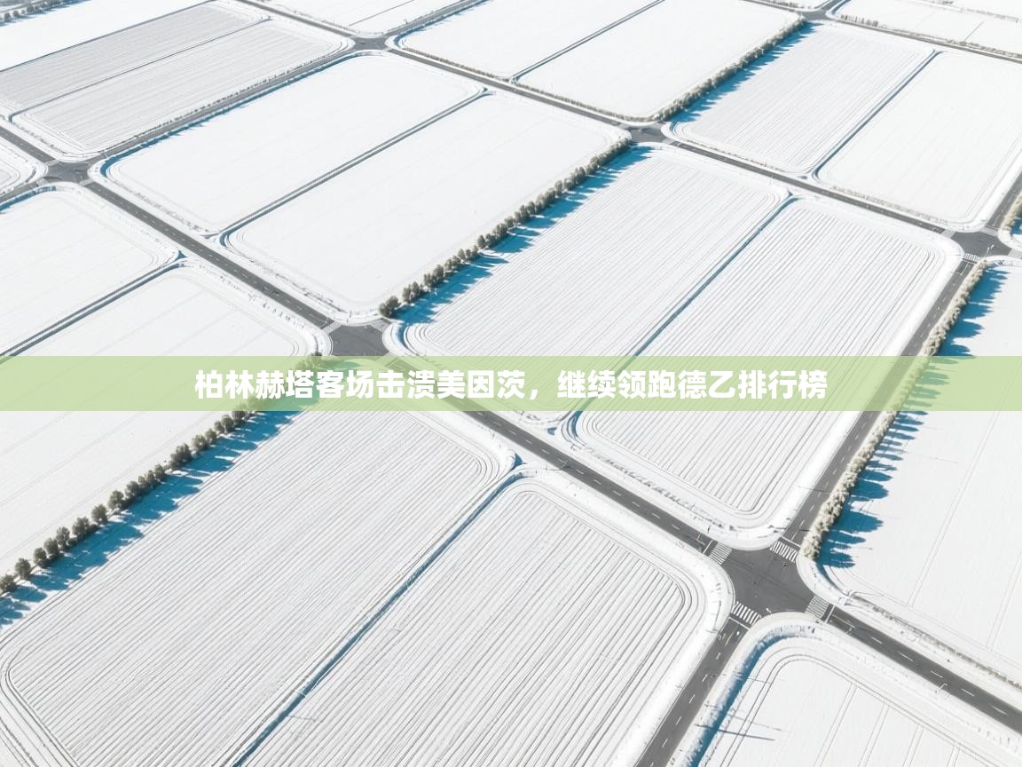 柏林赫塔客场击溃美因茨，继续领跑德乙排行榜  第2张