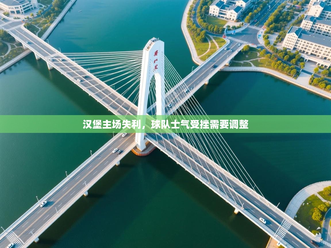 汉堡主场失利，球队士气受挫需要调整