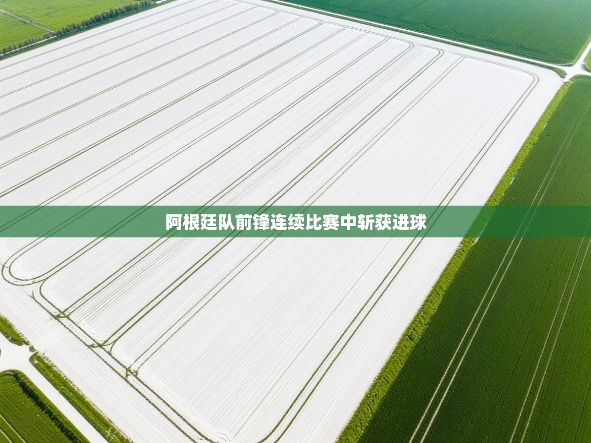 阿根廷队前锋连续比赛中斩获进球